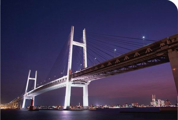 杭州湾跨海大桥的桩基工程